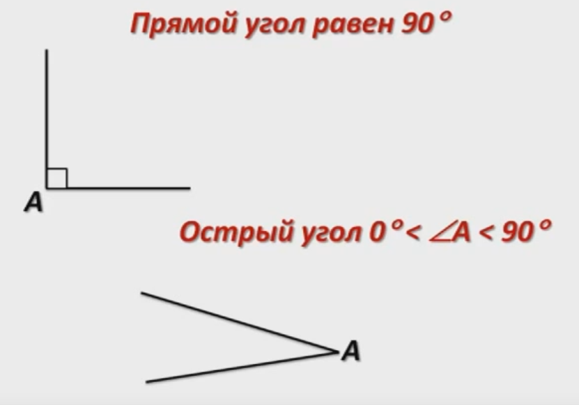 40 процентов от развернутого угла. Развернутый угол рисунок. Острый угол. Рисунок развернутого угла. Прямой и развернутый угол.